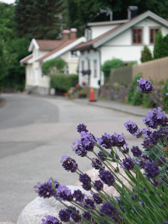Kungälv Nordiska Folkhoegskolan Bed And Breakfast מראה חיצוני תמונה